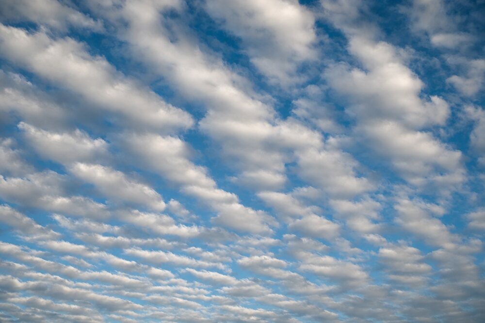 Altocumulus