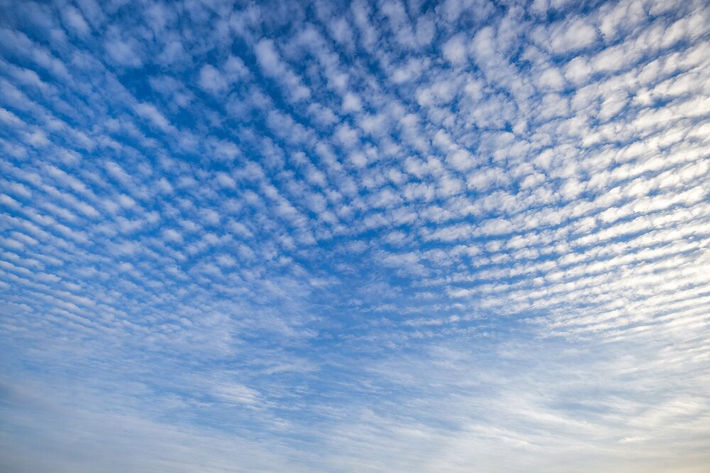 Cirrocumulus